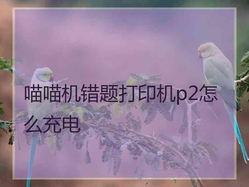 喵喵机错题打印机p2怎么充电