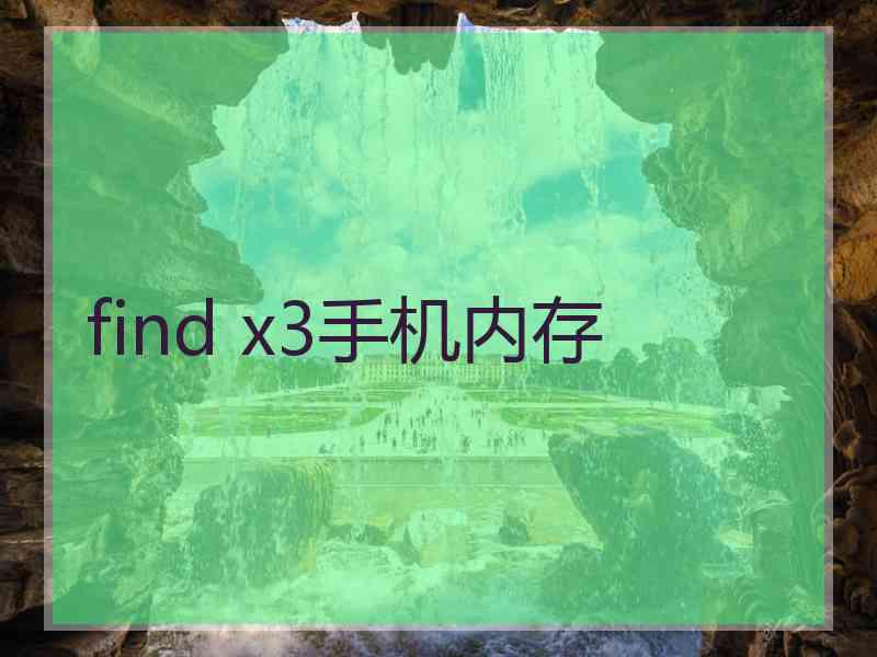 find x3手机内存