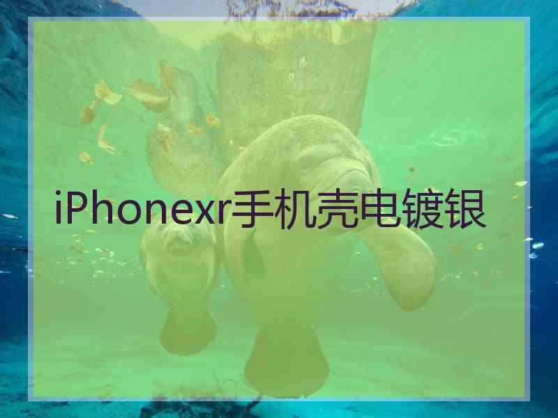 iPhonexr手机壳电镀银