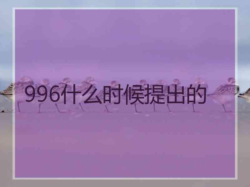 996什么时候提出的