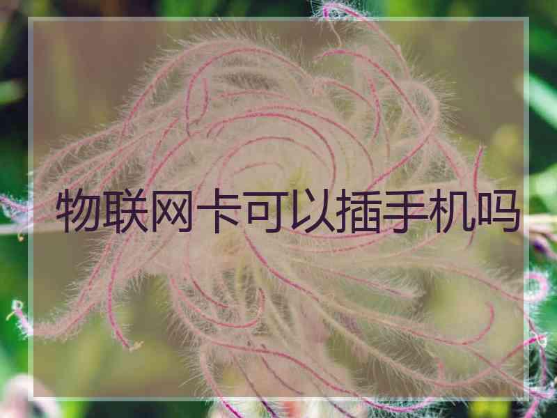 物联网卡可以插手机吗