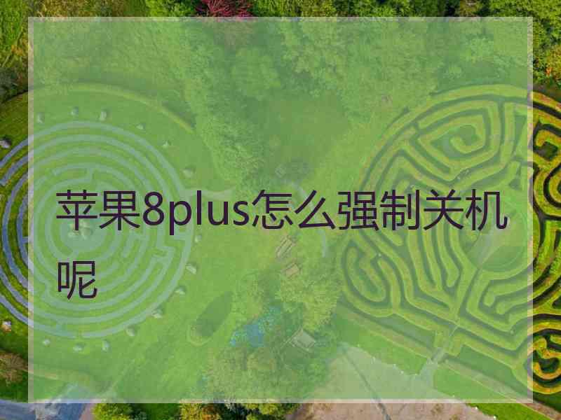 苹果8plus怎么强制关机呢