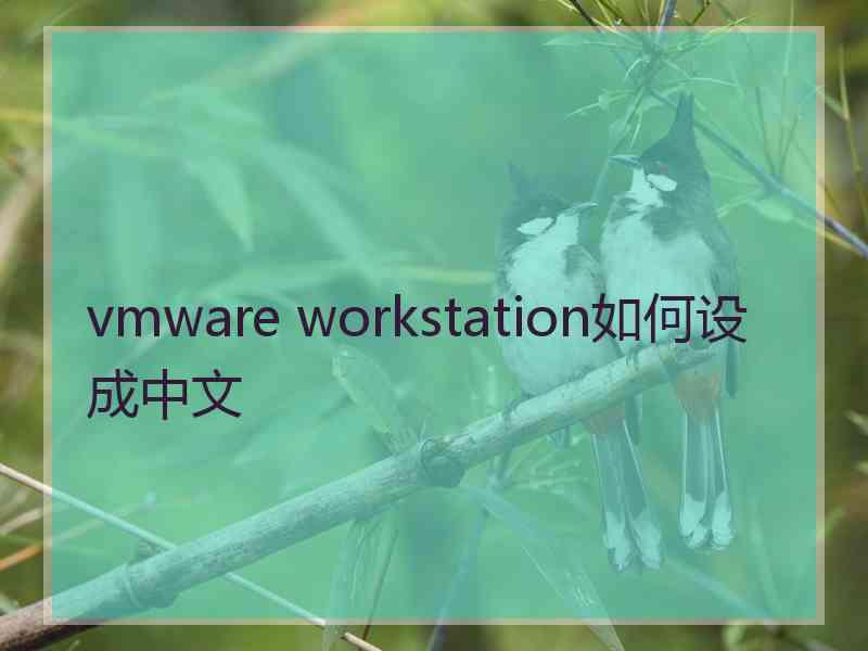 vmware workstation如何设成中文