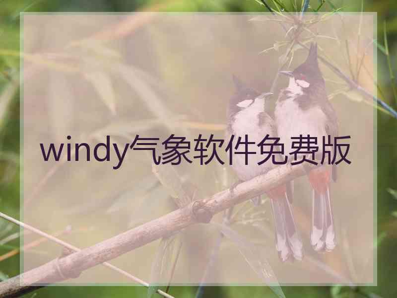 windy气象软件免费版