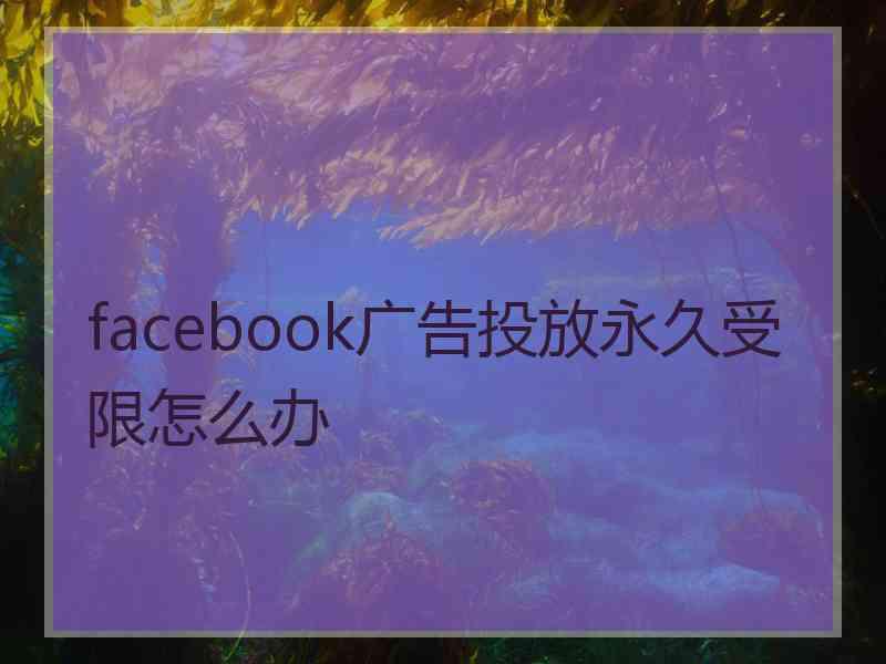 facebook广告投放永久受限怎么办