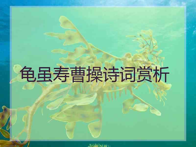 龟虽寿曹操诗词赏析