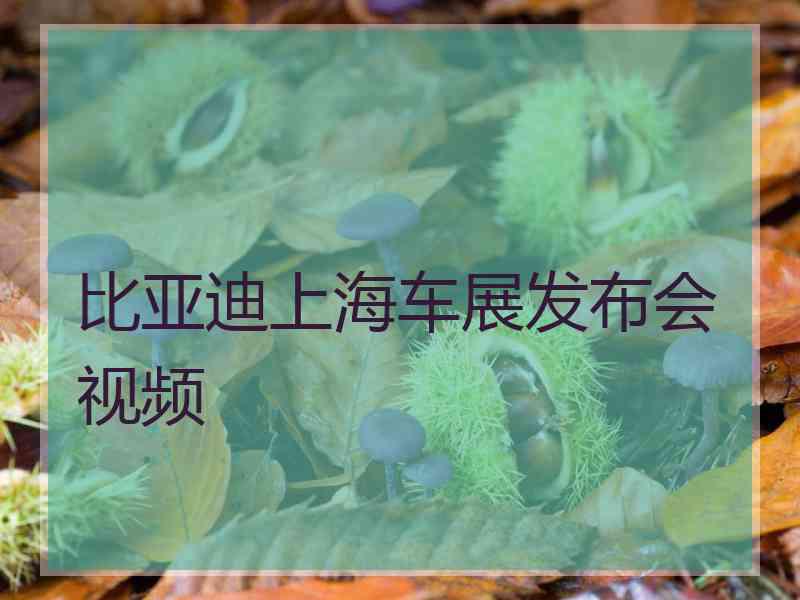 比亚迪上海车展发布会视频