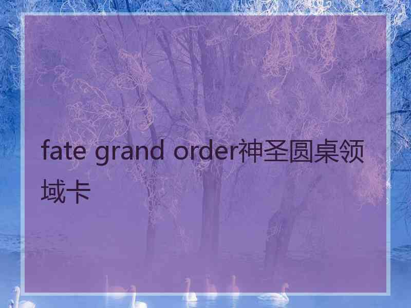 fate grand order神圣圆桌领域卡