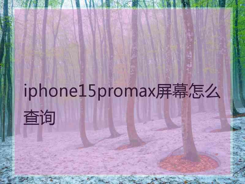 iphone15promax屏幕怎么查询