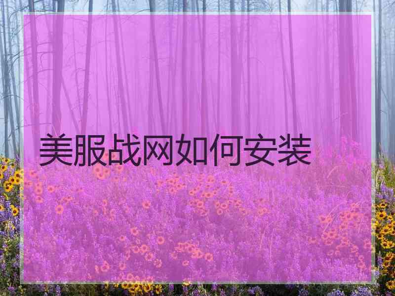 美服战网如何安装