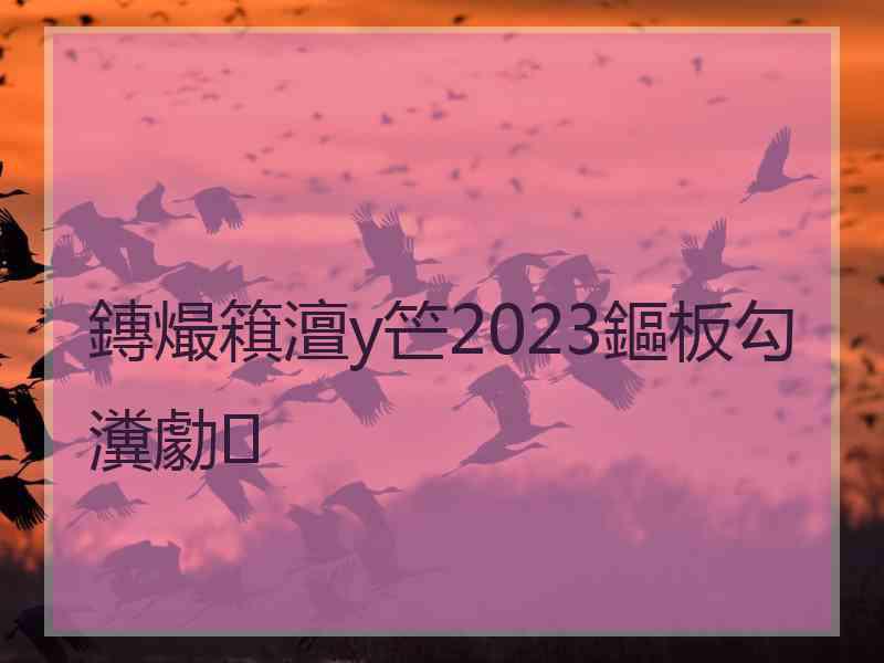 鏄熶簯澶у笀2023鏂板勾瀵勮