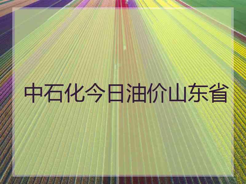 中石化今日油价山东省