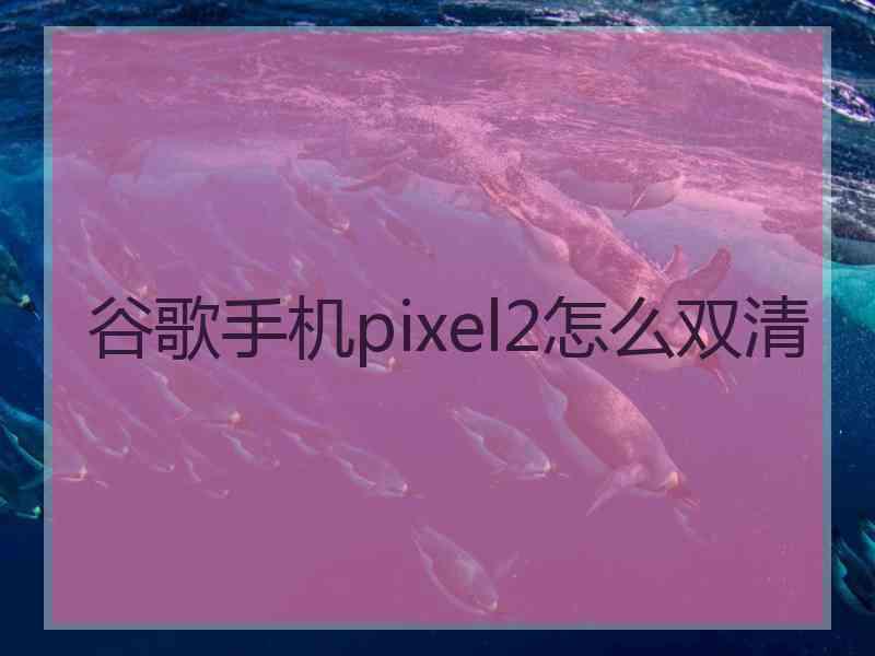 谷歌手机pixel2怎么双清