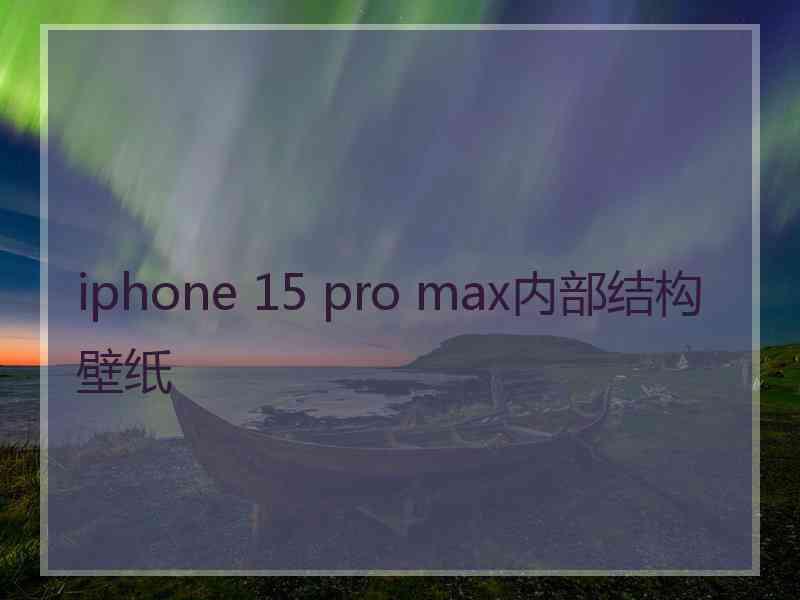 iphone 15 pro max内部结构 壁纸