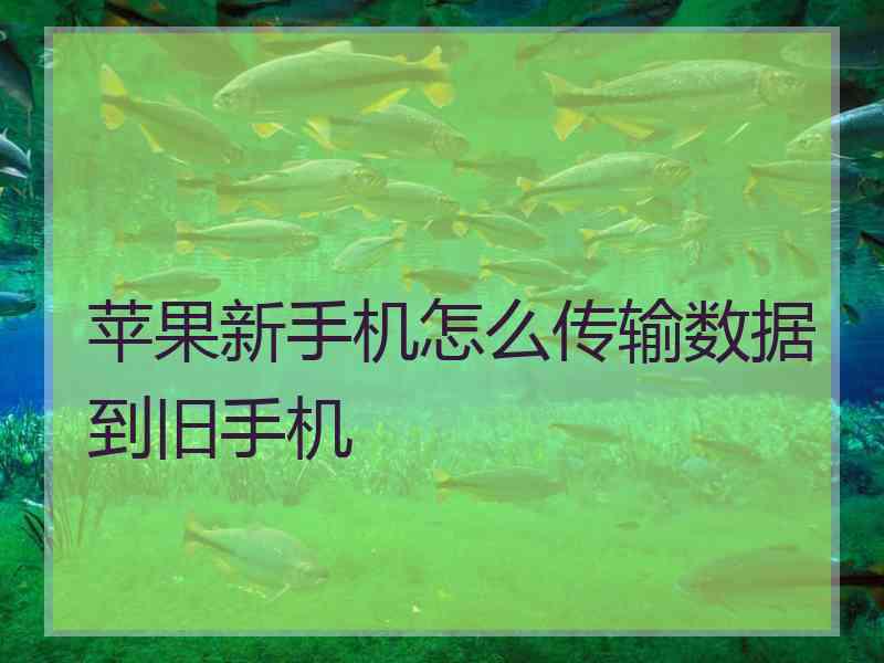 苹果新手机怎么传输数据到旧手机