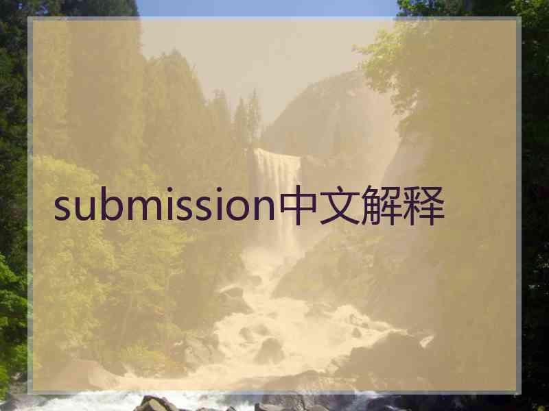 submission中文解释