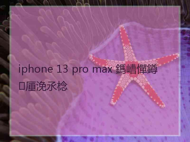 iphone 13 pro max 鎷嶆憚鐏厜浼氶棯