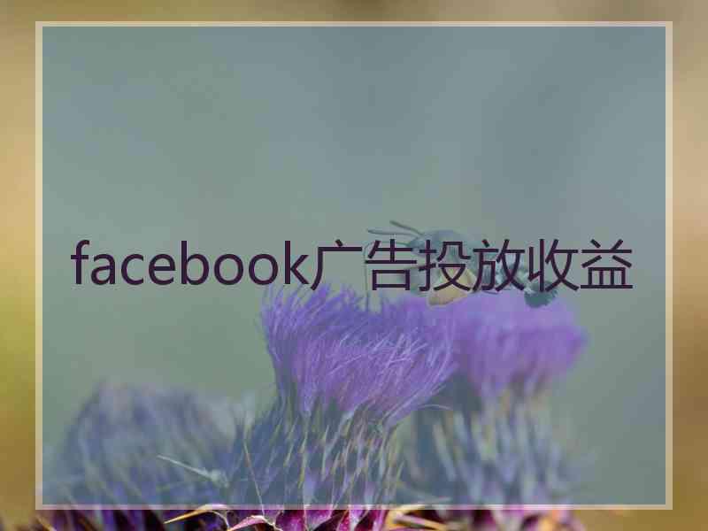 facebook广告投放收益