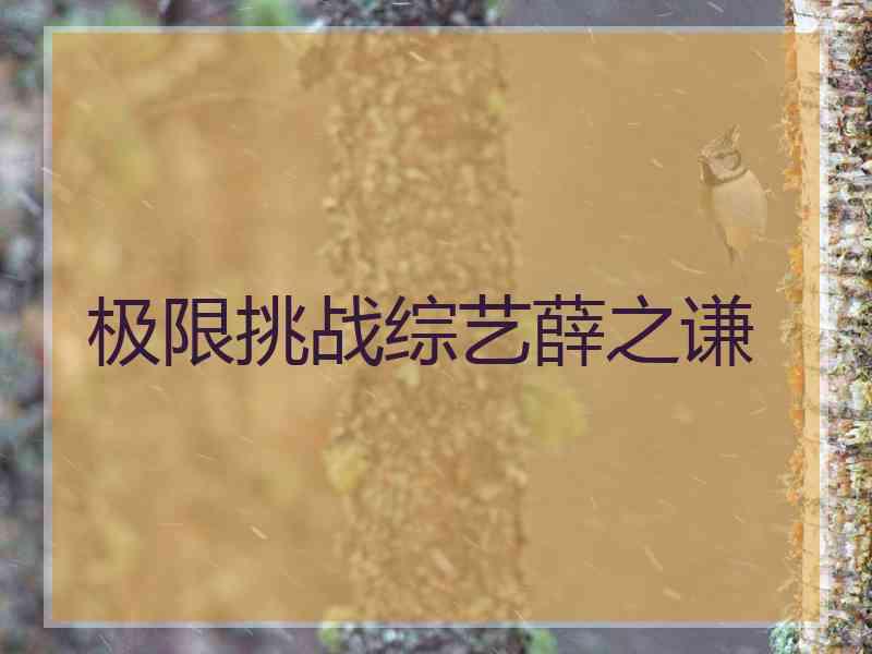 极限挑战综艺薛之谦