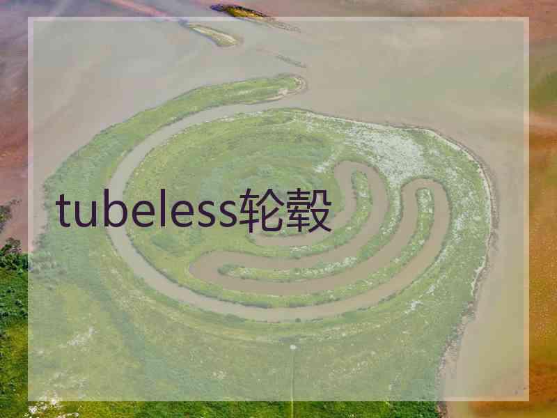 tubeless轮毂