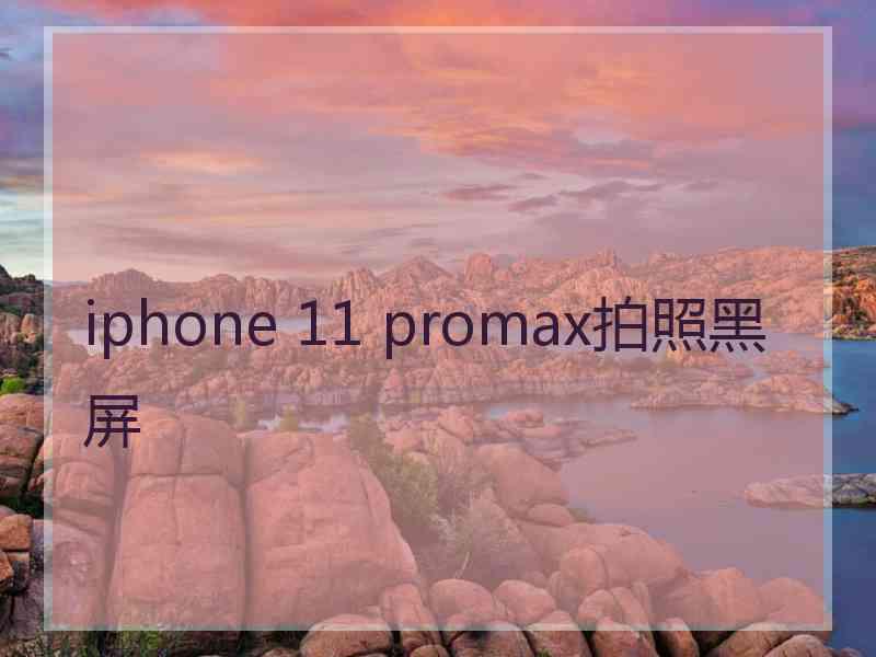 iphone 11 promax拍照黑屏