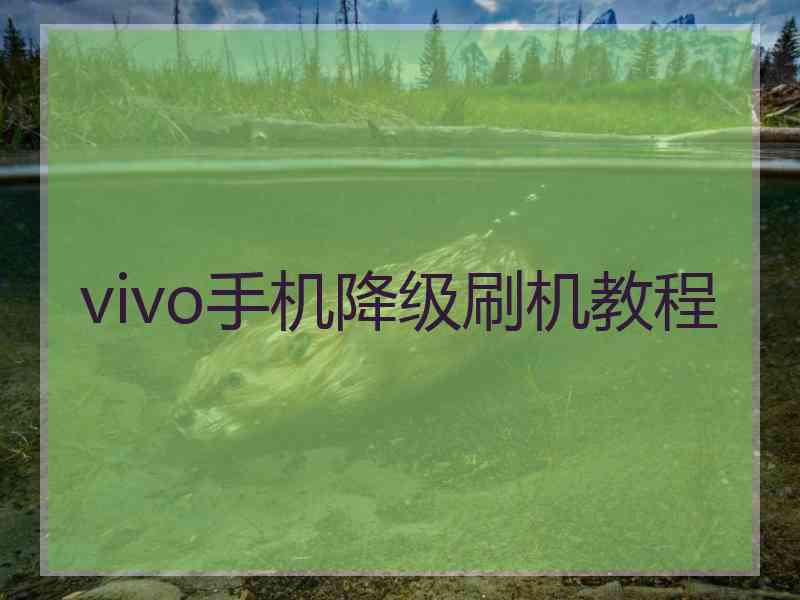 vivo手机降级刷机教程