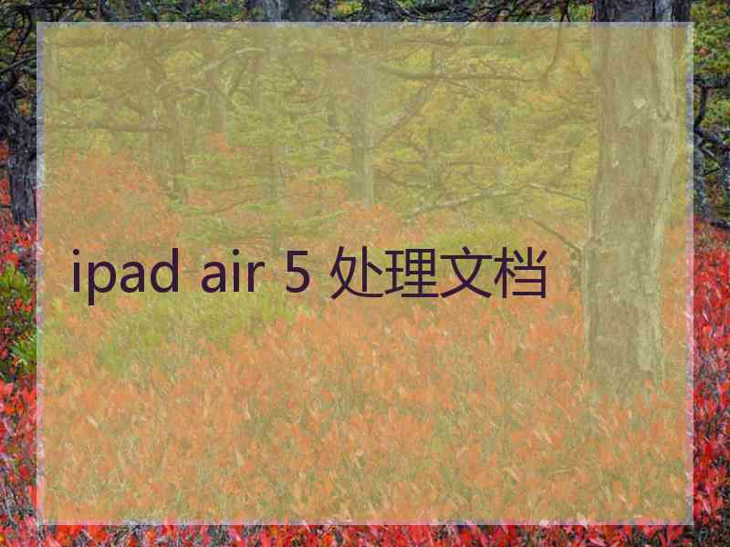 ipad air 5 处理文档