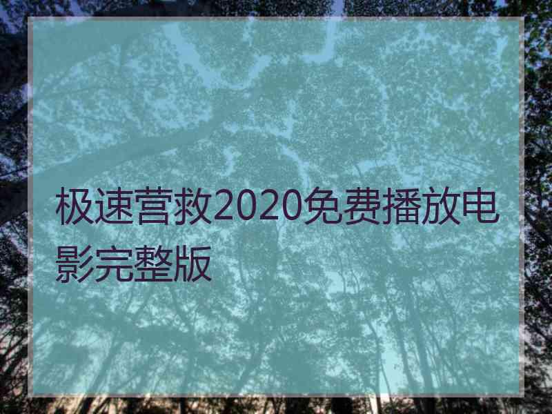 极速营救2020免费播放电影完整版