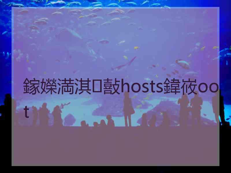 鎵嬫満淇敼hosts鍏峳oot