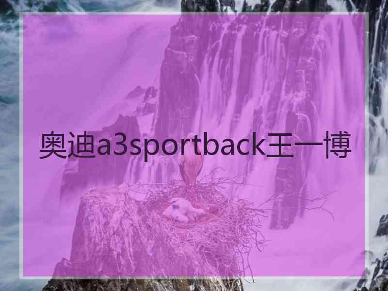 奥迪a3sportback王一博