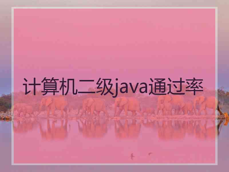 计算机二级java通过率