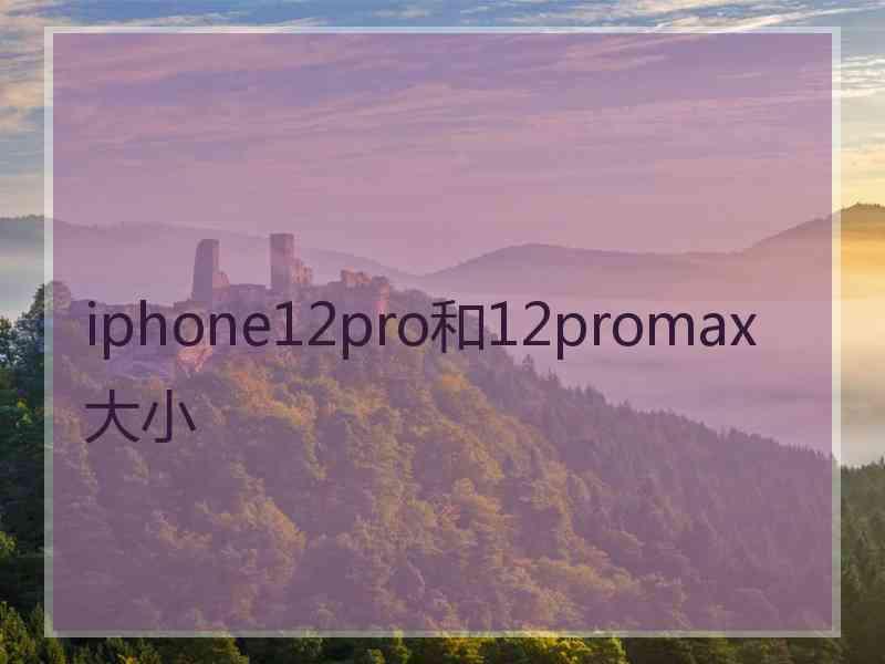 iphone12pro和12promax大小