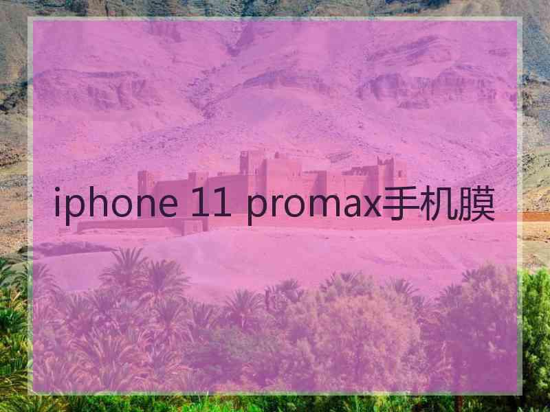 iphone 11 promax手机膜