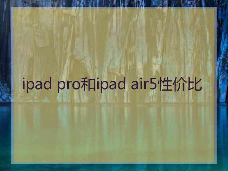 ipad pro和ipad air5性价比