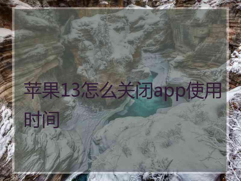 苹果13怎么关闭app使用时间