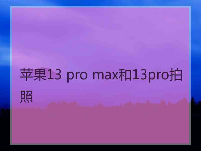 苹果13 pro max和13pro拍照