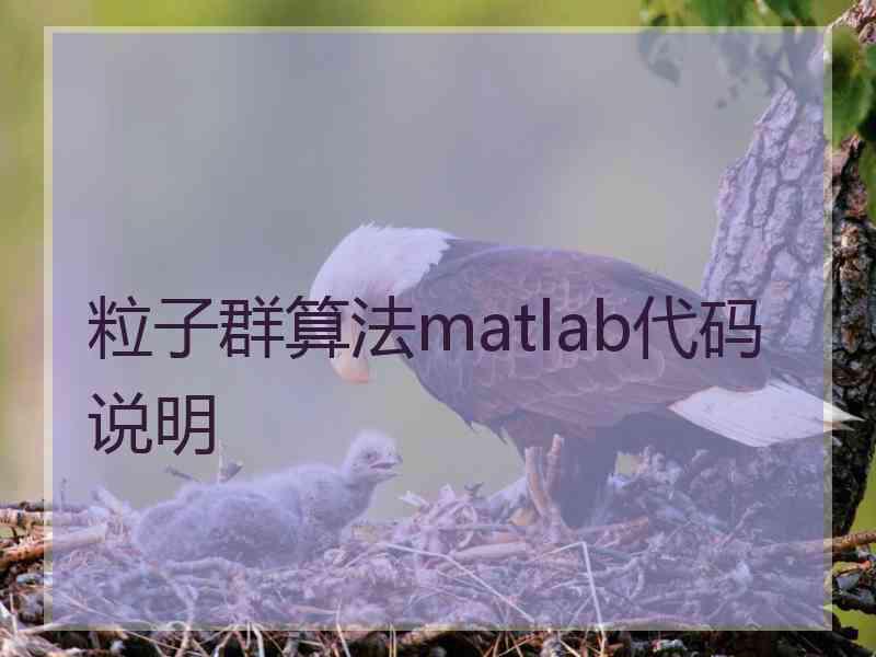 粒子群算法matlab代码说明