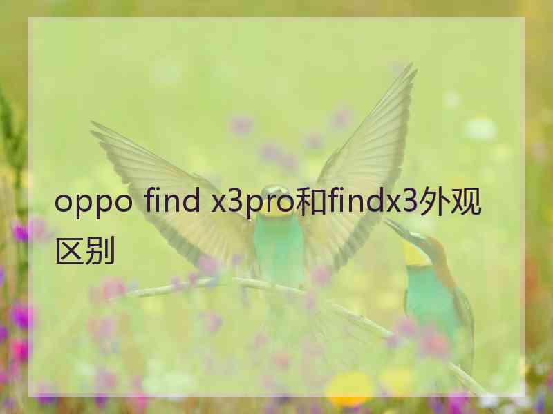 oppo find x3pro和findx3外观区别