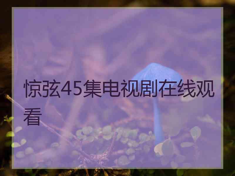 惊弦45集电视剧在线观看