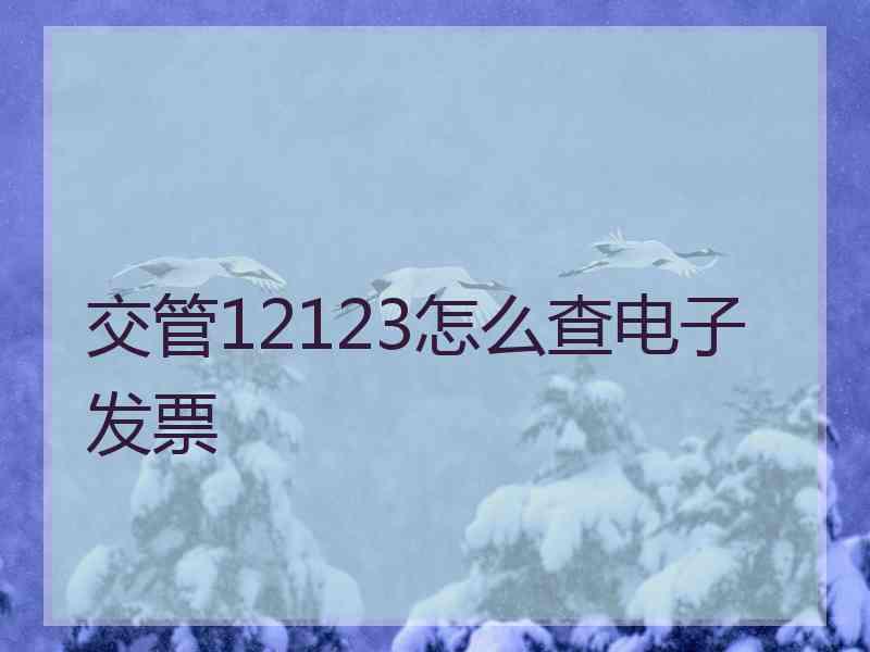 交管12123怎么查电子发票