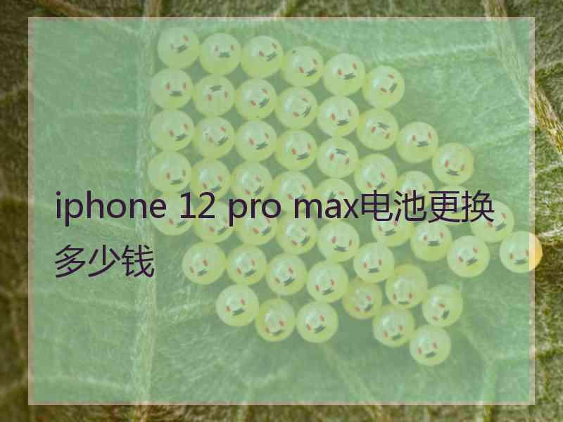 iphone 12 pro max电池更换多少钱