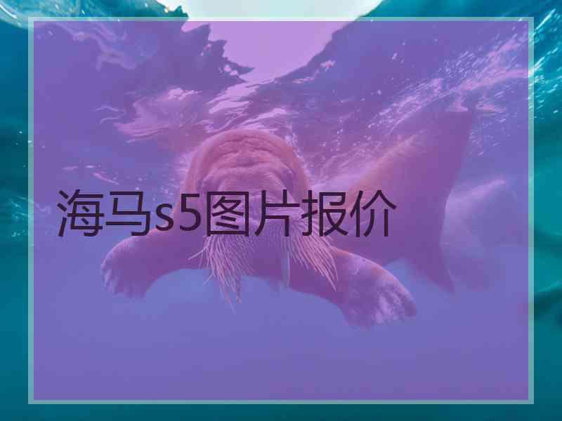 海马s5图片报价