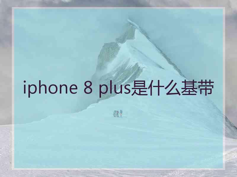 iphone 8 plus是什么基带