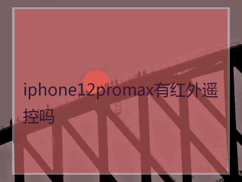 iphone12promax有红外遥控吗