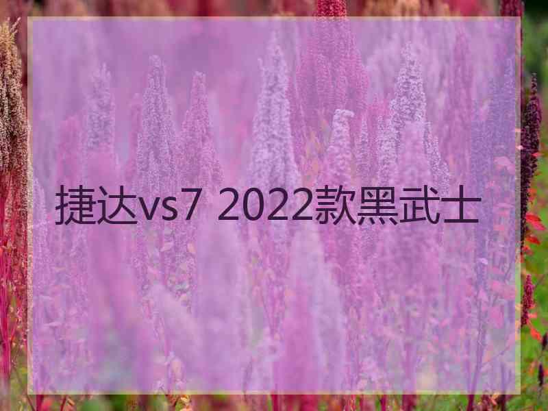 捷达vs7 2022款黑武士