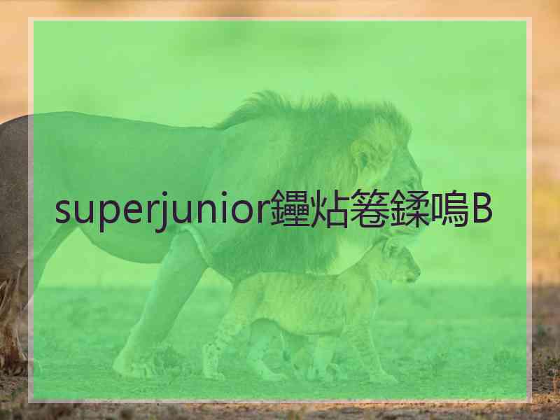 superjunior鑸炶箞鍒嗚В