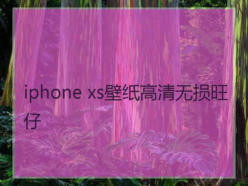 iphone xs壁纸高清无损旺仔