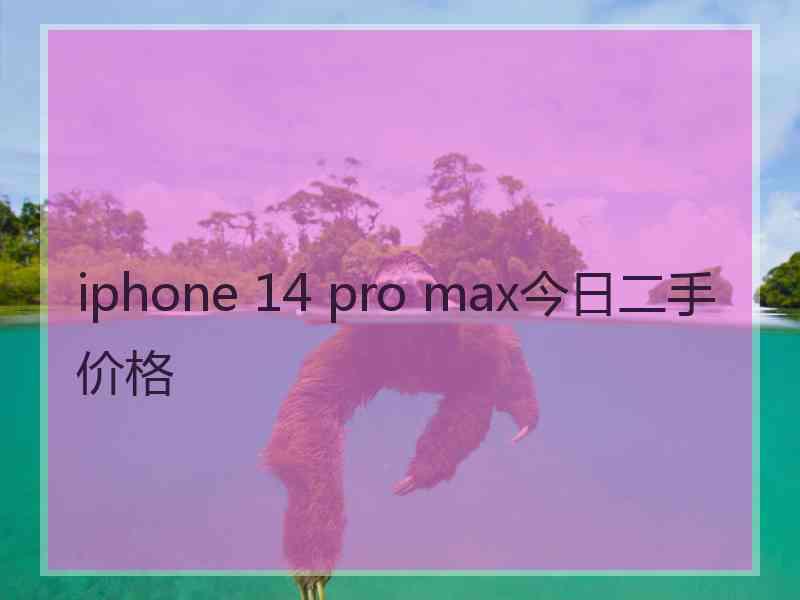 iphone 14 pro max今日二手价格