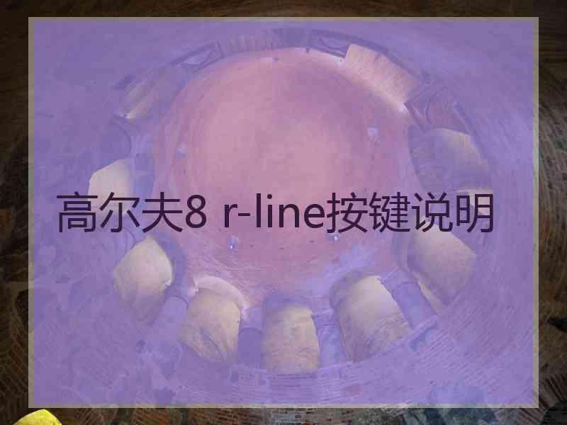 高尔夫8 r-line按键说明