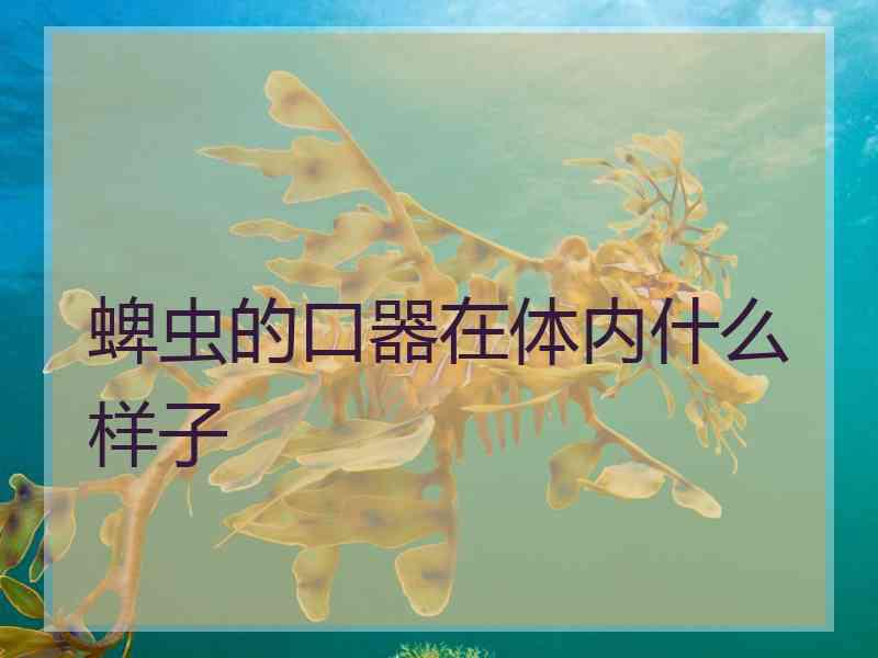 蜱虫的口器在体内什么样子